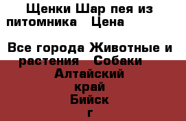 Щенки Шар пея из питомника › Цена ­ 25 000 - Все города Животные и растения » Собаки   . Алтайский край,Бийск г.
